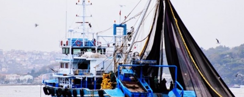 Balıkçı gemilerinde iş sağlığı ve iş güvenliği